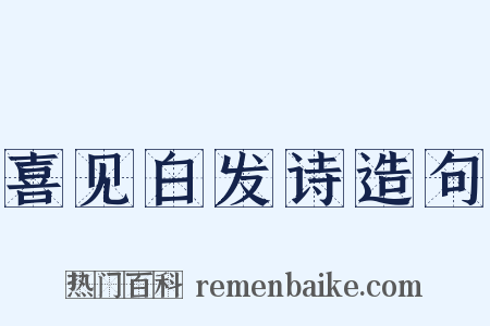 喜见白发诗造句是什么意思的图片